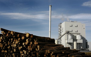 Teplrna na biomasu v Lockerbie