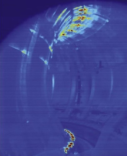 Obr. 46. Schma prbhu poruchy vertikln polohy plazmatu VDE (Vertical Displacement Event). Plazma se postupn posunuje vzhru nebo dol, dokud se nedostane do kontaktu s prvn stnou. Vpravo snmek z fznho reaktoru JET. lut a erven barva oznauj msto kontaktu plazmatu s prvn stnou.
